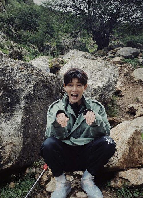 任嘉伦娱乐吃瓜,吃瓜群众揭秘幕后真相