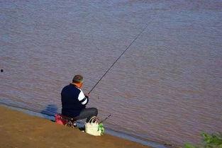 娱乐吃瓜钓鱼视频下载安装,娱乐吃瓜钓鱼视频，轻松安装体验新乐趣