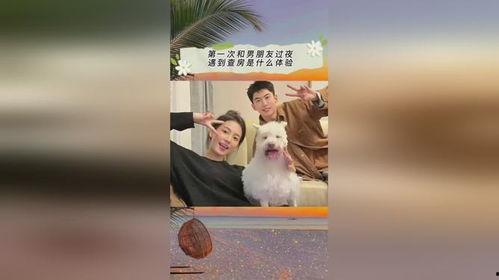 娱乐吃瓜抖音小游戏,娱乐狂欢，指尖上的瓜田盛宴